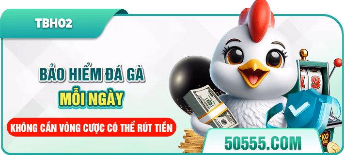 khuyến mãi đá gà